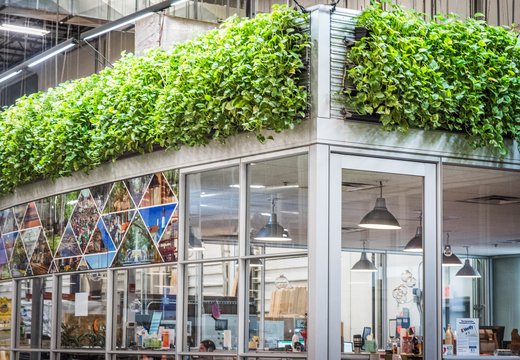 dirrt-office-plants.jpg
